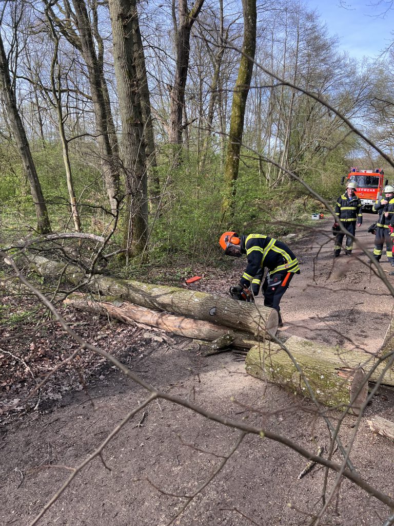 Einsatzfahrzeuge:
LF16
Einsatzzeitraum:
29.03.2024–15:01-15:47Uhr